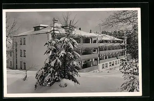 AK Höchenschwand /Schwarzwald, Augensanatorium Sonnenhof im Schnee