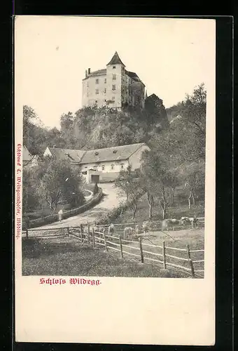 AK Sittendorf, Schloss Wildegg