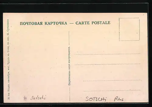 AK Sotschi, Hafenpartie mit Schiffen