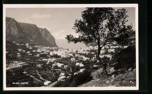 AK Capri, Panorama