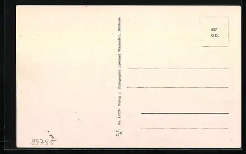 AK Sülzhayn /Südharz, Sanatorium Sonnefels