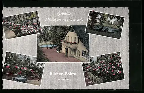AK Büchen-Pötrau /Lauenburg, Gasthaus Waldhalle am Steinautal, Blumenbeet, Uferpartie