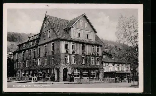 AK Treseburg /Harz, Gasthaus Forelle