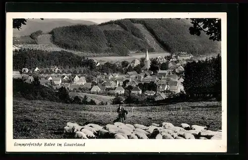 AK Balve /Sauerland, Totalansicht im Sommer mit Schafen