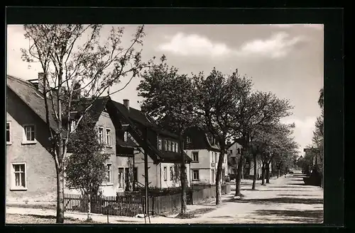 AK Reitzenhain /Erzgeb., Strassenpartie im Sonnenschein