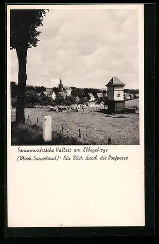 AK Valbert a. Ebbegebirge (märk. Sauerland), ein Blick durch die Dorfwiese