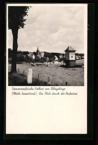 AK Valbert a. Ebbegebirge (märk. Sauerland), ein Blick durch die Dorfwiese