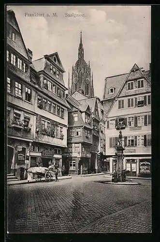 AK Alt-Frankfurt, Saalgasse mit Denkmal und Domblick