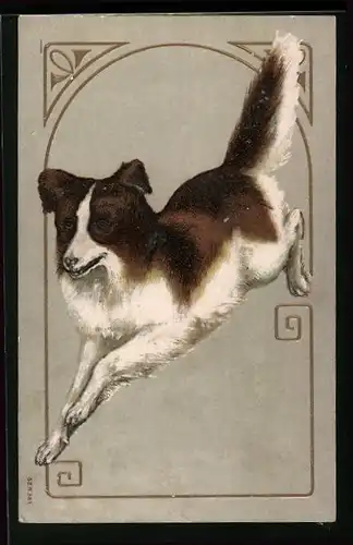 AK Laufender Collie