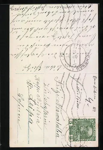 AK Portrait eines Bernhardiners mit wachem Blick