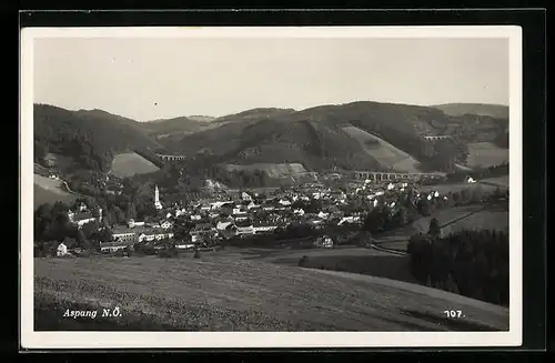 AK Aspang, Totale mit Viadukten