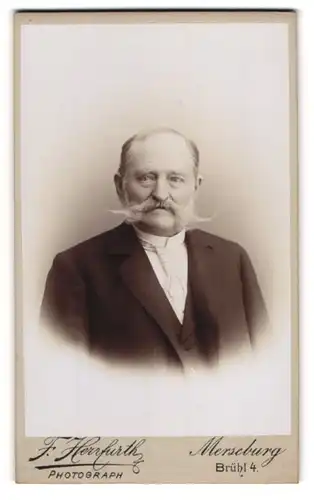 Fotografie F. Herrfurth, Merseburg, Brühl 4, Älterer Herr im Anzug mit Backenbart