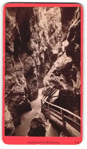 Fotografie Würthle & Spinnhirn, Salzburg, Ansicht Liechtensteinklamm, Partie im Klamm mit Bachlauf