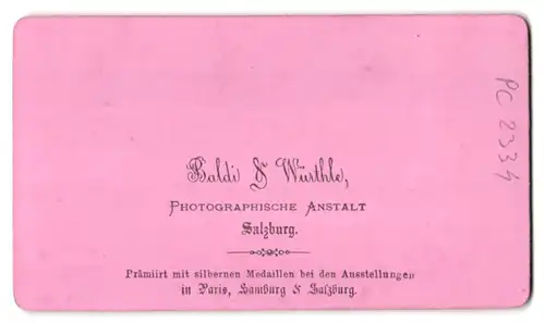 Fotografie Baldi & Würthle, Salzburg, Ansicht Gmunden, Blick in die Stadt vom Kogel aus gesehen