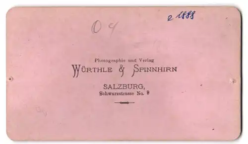 Fotografie Würthle & Spinnhirn, Salzburg, Ansicht Ischl, Blick auf die Stadt vom Berg aus