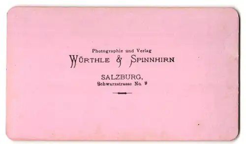 Fotografie Würthle & Spinnhirn, Salzburg, Ansicht St. Wolfgang im Salzkammergut, Seepartie mit Blick zum Ort, Schafberg