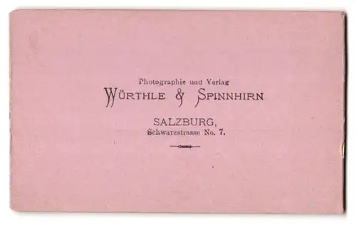 Fotografie Würthle & Spinnhirn, Salzburg, Ansicht Traunkirchen, Blick nach dem Ort mit Bergpanorama