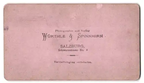 Fotografie Würthle & Spinnhirn, Salzburg, Ansicht Traunkirchen, Ortspanorama mit Blick zum Traunstein