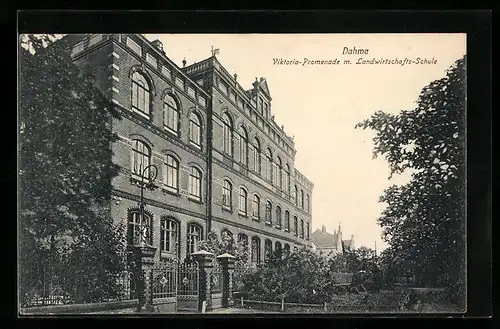 AK Dahme, Viktoria-Promenade mit Landwirtschafts-Schule