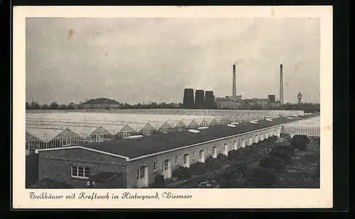 AK Wiesmoor, Treibhäuser mit Kraftwerk im Hintergrund