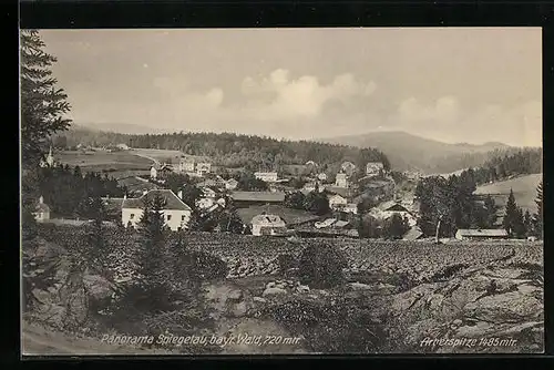 AK Spiegelau /bayr. Wald, Panorama des Ortes