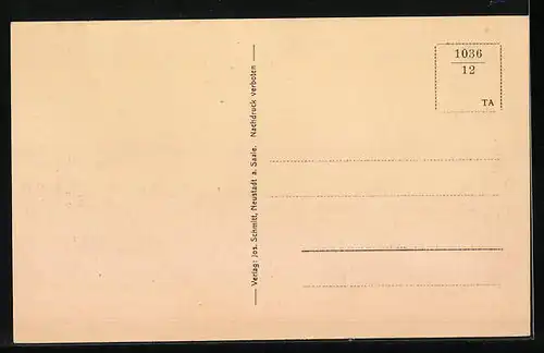 AK Neustadt a. Saale, Partie an der Stadtmauer