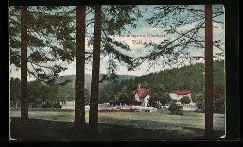 AK Braunlage im Oberharz, Blick auf die Waldmühle