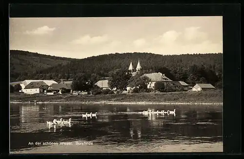 AK Bursfelde, Partie an der schönen Weser