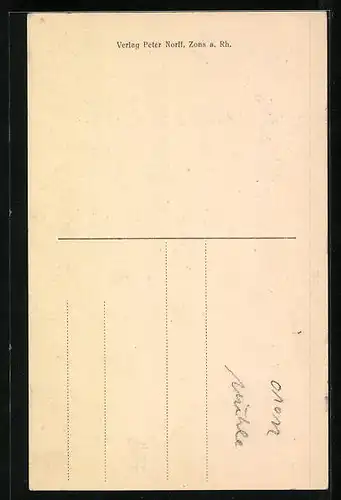 AK Zons a. Rhein, Blick auf die Windmühle