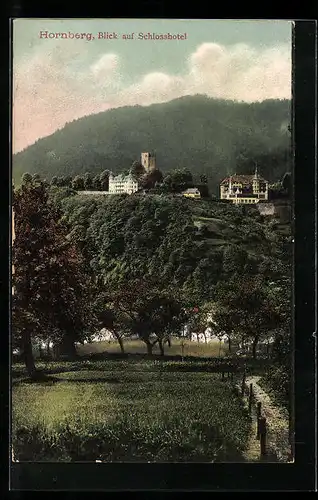 AK Hornberg, Blick auf Schlosshotel