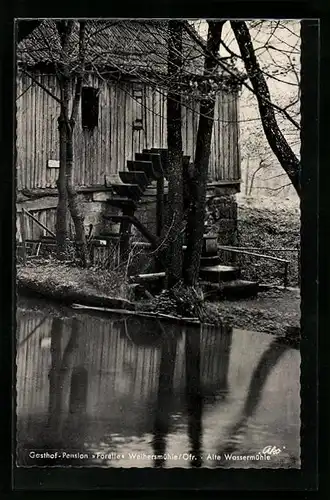 AK Weihersmühle /Ofr., Gasthof und Pension Forelle