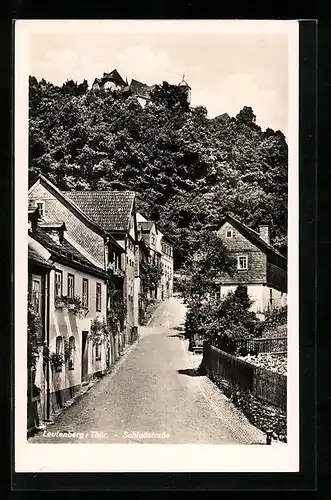 AK Leutenberg /Thür., Schlossstrasse und Häuser