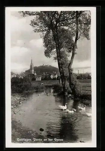 AK Tuttlingen, Partie an der Donau