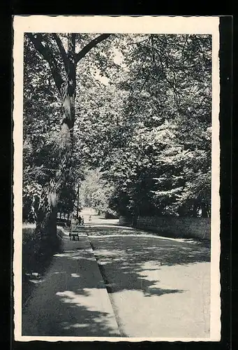 AK Wallerfangen, Saar von- Papen-Strasse