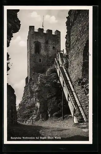 AK Regen (Bayr. Wald), Burgruine Weissenstein