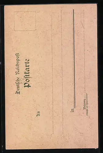 Lithographie Neustadt, Gasthaus Ungerberg, Prinz Georg Thurm, Waldfrieden, Sennhütte