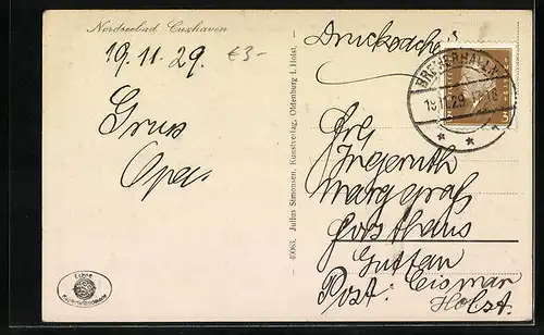 AK Möwen während der Brutzeit