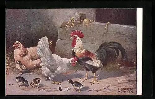 AK Hühner mit Küken im Stall