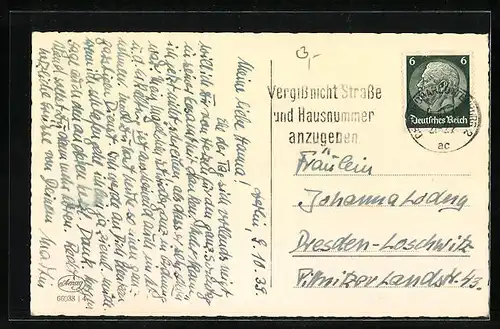 AK Zwei kleine Terrierwelpen