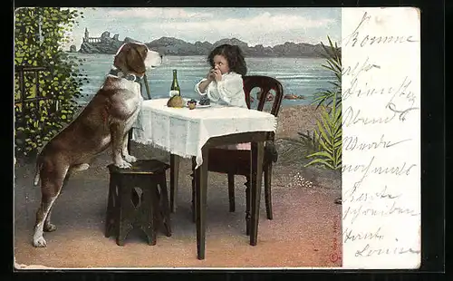 AK Beagle am Tisch würde gern an Mahlzeit teilnehmen