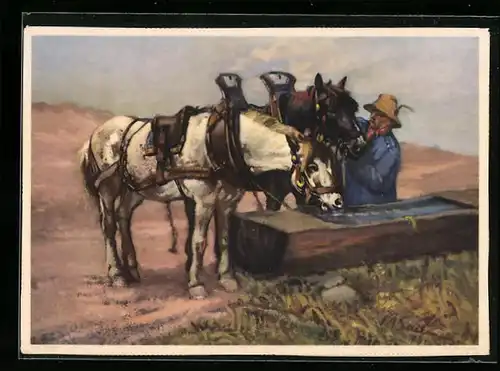 AK Bauer mit Pferdegespann an der Tränke