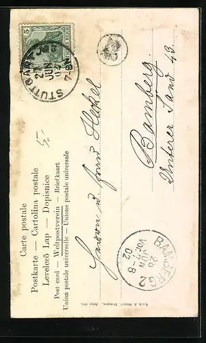 AK Störche auf einer Wiese