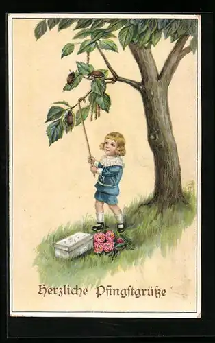 AK Fröhliche Pfingsten, Knabe holt Maikäfer vom Baum