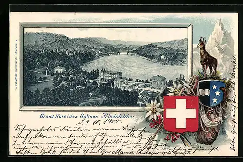 Passepartout-Lithographie Rheinfelden, Grand Hotel des Salines, Edelweiss, Gemse