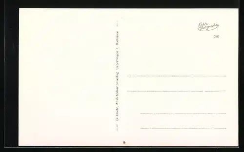 AK Hornstaad a. Untersee (Höri), Terasse vom Strandcafe Schlössle