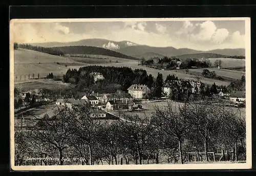 AK Sulz, Totalansicht mit Wiesen und Bergpanorama