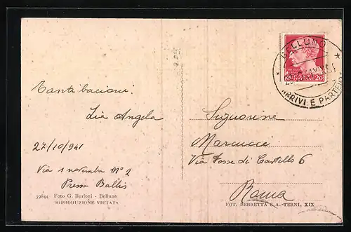 AK Belluno, Palazzo del Governo, Particolare