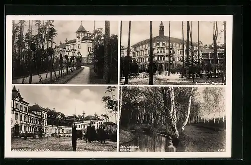 AK Vogelsang, Sanatorium u. Birkenhain