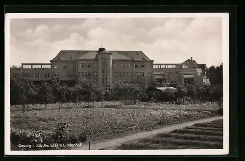 AK Coswig i. Sa., Blick auf Heilstätte Lindenhof