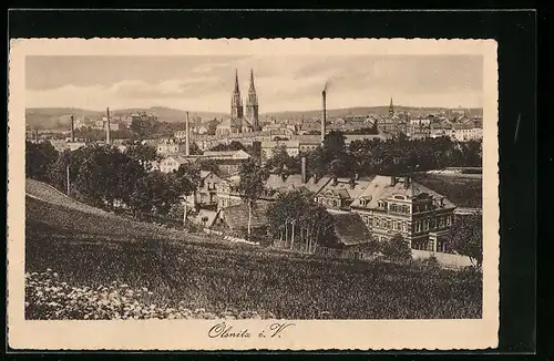 AK Ölsnitz i. V., Ortsansicht aus der Ferne
